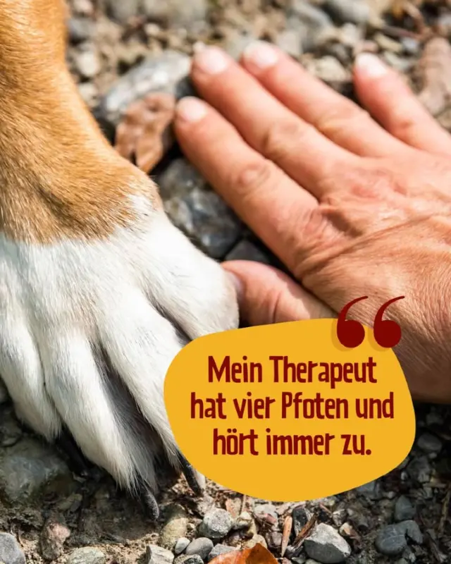 ...ob er will oder nicht 😋