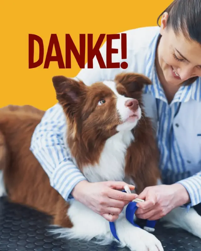 Heute ist der letzte Samstag im April und das bedeutet: Happy World Veterinary Day! 🩺 

Eine gute Gelegenheit, um allen Tierärzten und Tierärztinnen, die unsere Fellfreunde gesund und glücklich halten, mal ein riesiges DANKESCHÖN auszusprechen! 🐶🐱

Welchem Tierarzt-Team möchtest du heute danken?