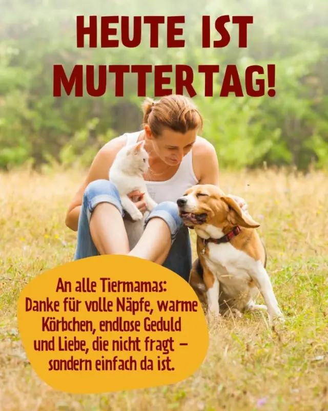 Heute feiern wir alle, die sich „Mama“ nennen lassen – auch mit Schnurren oder Schwanzwedeln!

Danke, dass ihr da seid. Für jede liebevolle Geste, jedes aufmerksame Ohr und jedes „Ich versteh dich, auch ohne Worte.“ 🫶

Markiere deine liebste Tiermama 💛