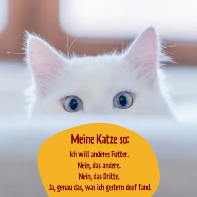 PetFoodie.de
