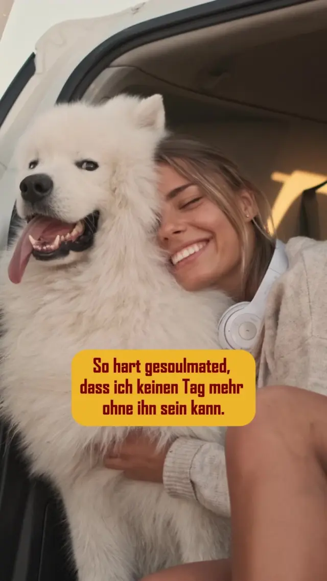 Und du? Wer ist dein Soulmate auf vier Pfoten? 😍
#PetFoodie #barf #frischfleisch #hundefreunde #hundeleben #haustierliebe #hund #tierliebe #hundefutter #chunkies #hundehumor #futterzeit