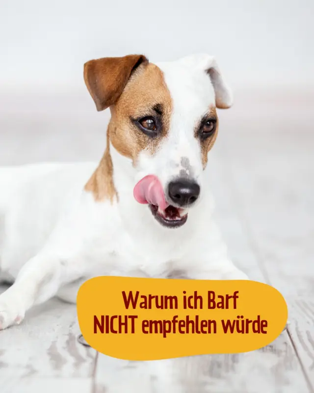 Hundefreunde, aufgepasst! Barf kann folgende unerwünschte Nebenwirkungen haben: glänzendes Fell, frischer Atem, mehr Energie, weniger Tierarztbesuche und ein glücklicher Vierbeiner.

Swipe durch, um zu sehen, warum wir Barf eigentlich gar nicht empfehlen können 😉

#PetFoodie #PetFoodiemoments #Frozenmeat #CatsandDogs #Doglove #Catlove #Frozendogfood #Frozencatfood #BARFdiet #Dogparents