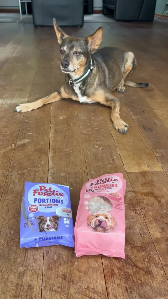Frauchen geht, PetFoodie kommt.💥
Heimlich naschen war noch nie so lecker!
#petfoodie #barf #barfen #barffutter #funnyreels #hundefutter #hundeliebe