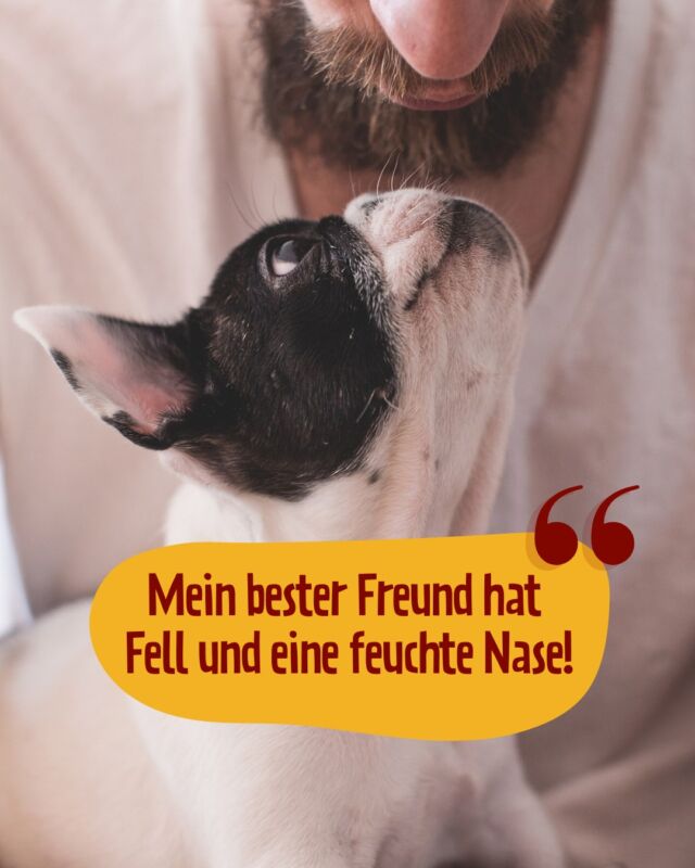 Wer von euch kann das auch über sich und seinen besten Freund sagen? 😍

Wir finden: Hunde sind die besten Freunde überhaupt – und verdienen auch nur das Beste! Deshalb stecken in PetFoodie nur hochwertige Zutaten, damit unsere Lieblingsvierbeiner ein schönes, langes und gesundes Leben genießen dürfen. Schaut unbedingt mal in unserem Shop vorbei – Link in der Bio!

#petfoodie #dogfood #dogsofinstagram #hundefutter #doglovers #catfood #catsofinstagram #Frischfleisch #frischfleischfürhunde #barffutter #barf #spurchdestages #lustigesprueche