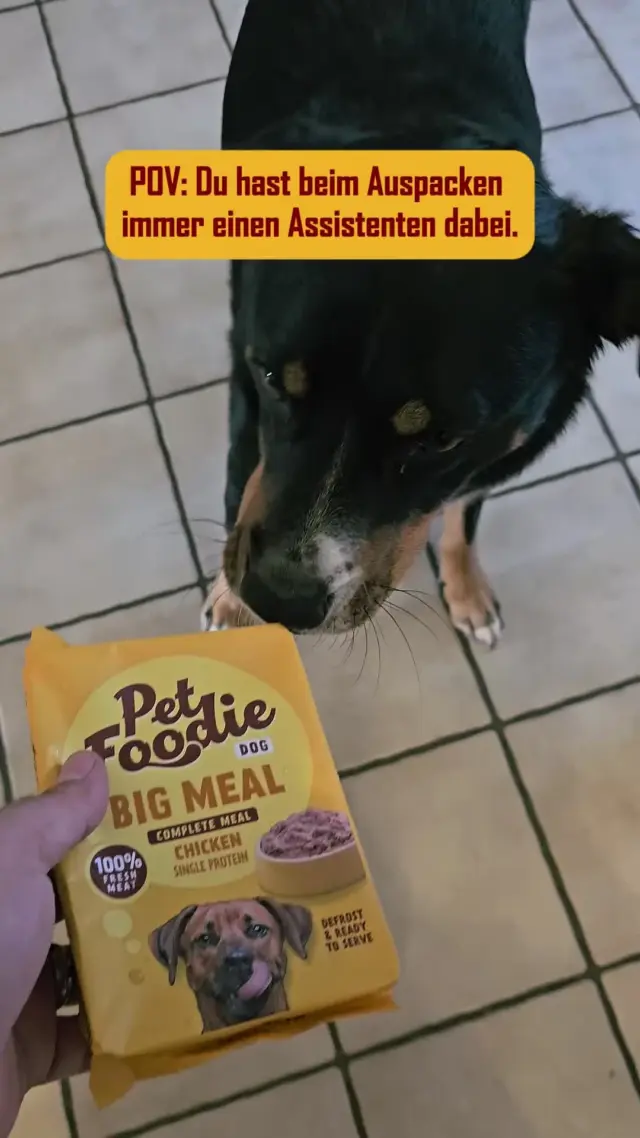 Unboxing-Partner auf vier Pfoten! 📦
Denn PetFoodie ist genau das Richtige für echte Feinschmecker auf vier Pfoten 🐾
👉 Entdecke auch für deinen Vierbeiner unsere Produkte über den Link in der Bio!
#PetFoodie #PetFoodiemoments #Frozenmeat #CatsandDogs #Doglove #Catlove #Frozendogfood #Frozencatfood #BARFdiet #Dogparents