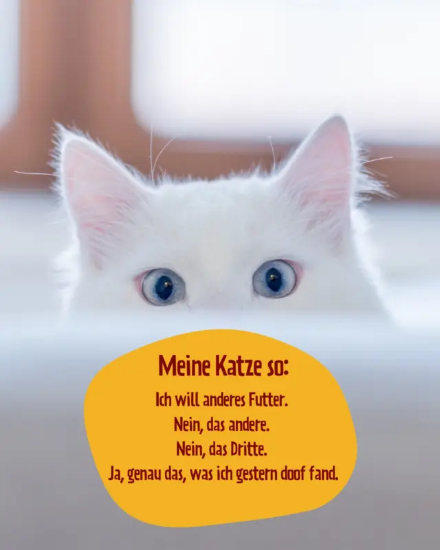 Klingt das nach deiner Katze? 😅
👉 PetFoodie ist (zum Glück) immer gut: Entdecke unsere Produkte über den Link in unserer Bio!
#petfoodie #barf #barfen #barffutter #funnyreels #katzenfutter #katzenliebe #catsofinstagram #catfood