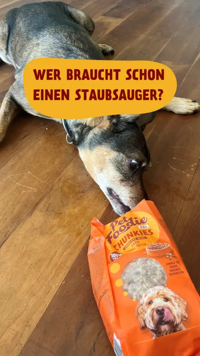 Wer braucht heutzutage schon einen Staubsauger? 😋

#PetFoodie #PetFoodiemoments #Frozenmeat #CatsandDogs #Doglove #Catlove #Frozendogfood #Frozencatfood #BARFdiet #Dogparents