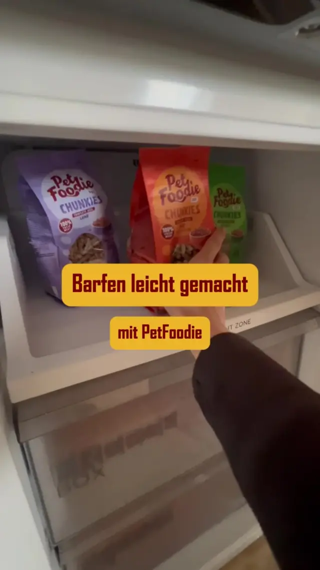 So einfach geht’s mit dem Barfen! 😉
Frisch, unkompliziert und in wenigen Schritten zubereitet – so macht artgerechtes Füttern Spaß!
In unserem Reel zeigen wir dir, wie einfach Barfen mit PetFoodie sein kann!
Den Link zu unseren Produkten findest du in unserer Bio.
#petfoodie #barfenleichtgemacht #zubereitung #barf #barfen #barffutter #hundefutter